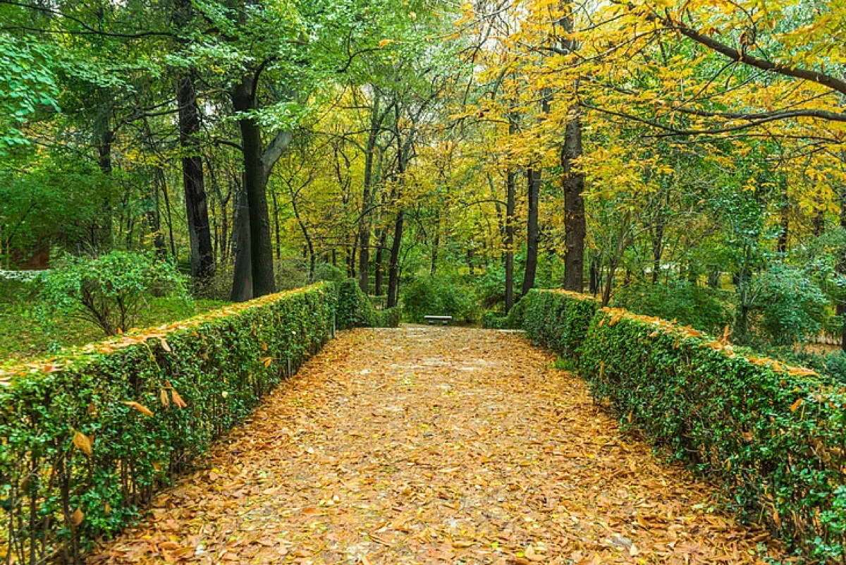 Seasonal Cleanup