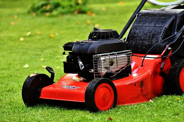 Lawn Maintenance